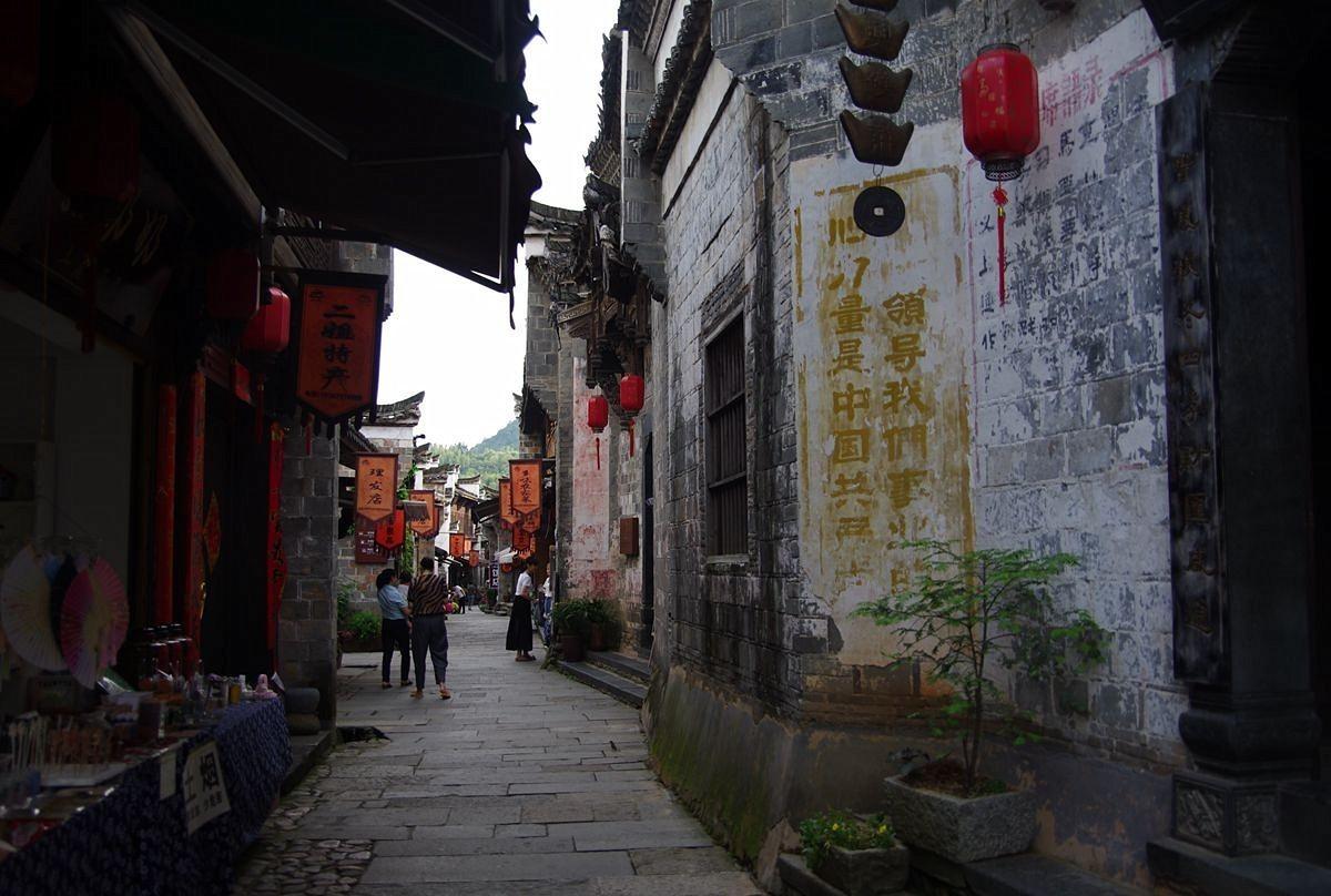 春雨直播app